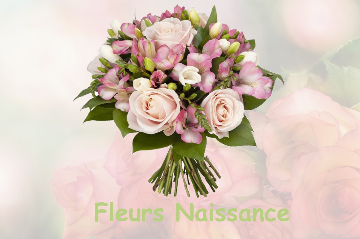 fleurs naissance SERZY-ET-PRIN