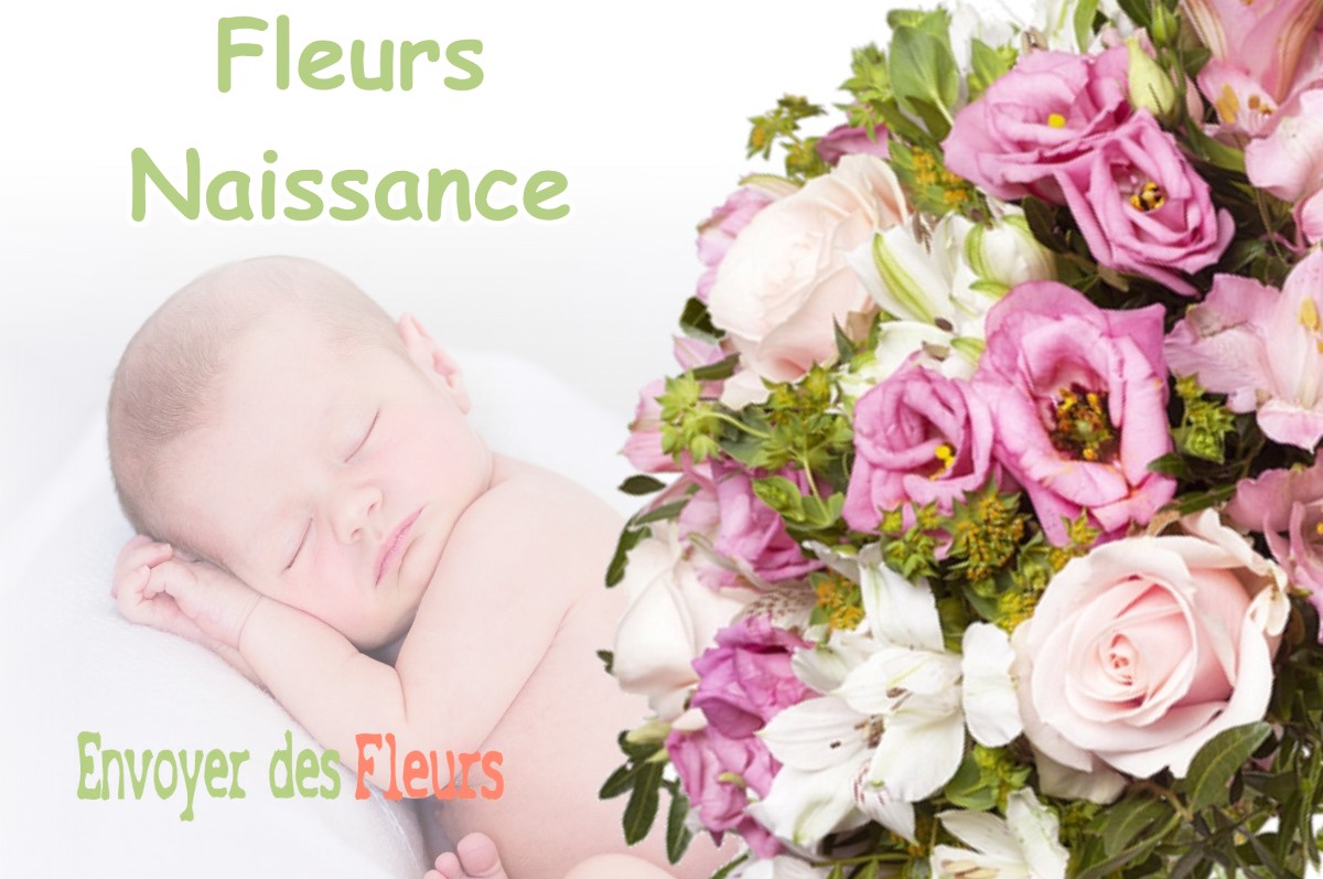 lIVRAISON FLEURS NAISSANCE à SERZY-ET-PRIN